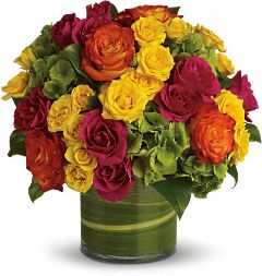 Colorful Rounds and Roses Colorful Rounds and Roses