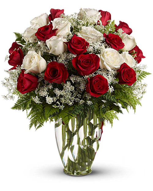 White and Red Lace Roses White and Red Lace Roses