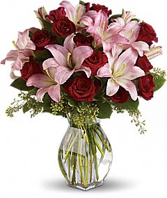 Lily Red Rose Lily Red Rose