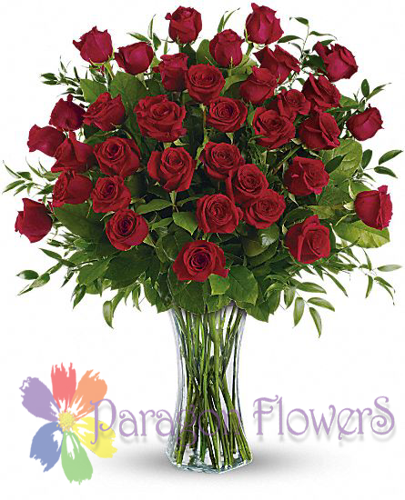 Three Dozen Red Roses