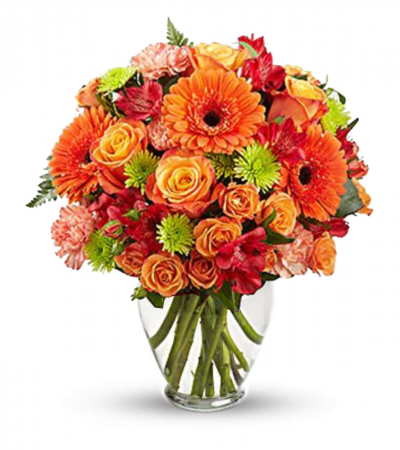 Fall Flowers